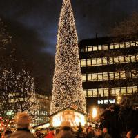 4999_0450 Beleuchteter Weihnachtsbaum - Tannenbaum mit Lichterketten, Hamburger Innenstadt. | 